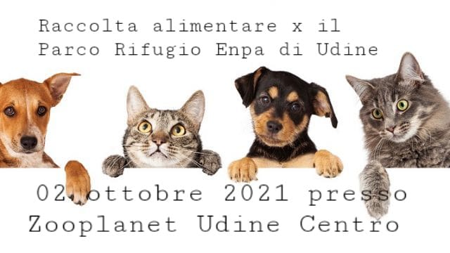 Manifesto Zooplant - Udine
