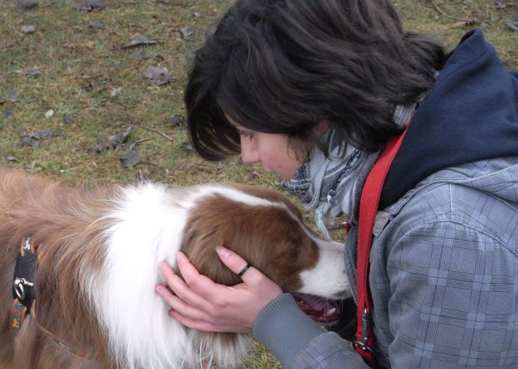 Manifesto per aiutaci per difendere e tutelare gli animali